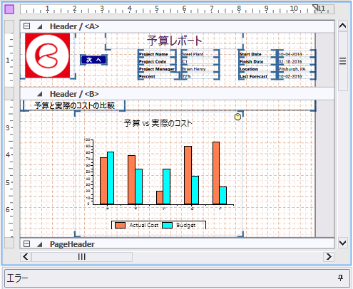 BudgetReport02_Designer.png